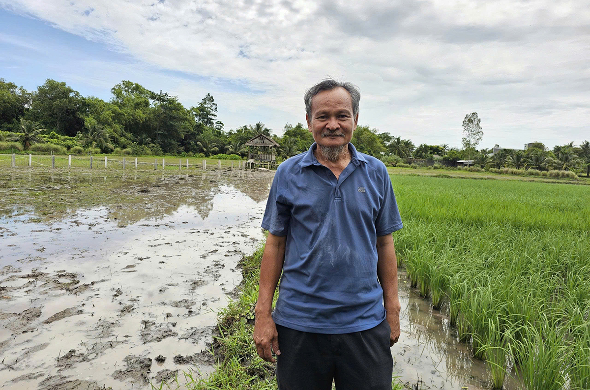 Le Quoc Viet, un agricultor que apuesta por la variedad de arroz de temporada 